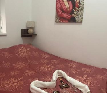 Sremska Mitrovica Apartamento | Apartman Dionis SM 2
