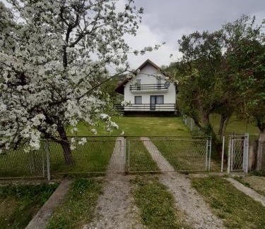 Mokra Gora Apartamento | Apartman Djokovic