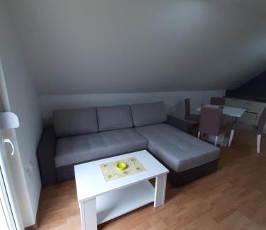 Mokra Gora Apartamento | Apartman Djokovic
