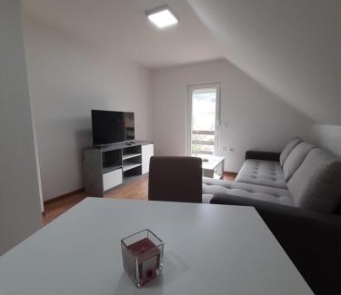 Mokra Gora Apartamento | Apartman Djokovic