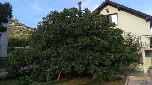 Karlobag Apartamento | Apartman Dolac