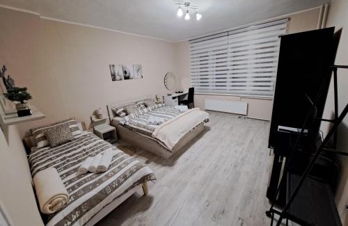 Zajecar Apartamento | Apartman Dream M Zaječar