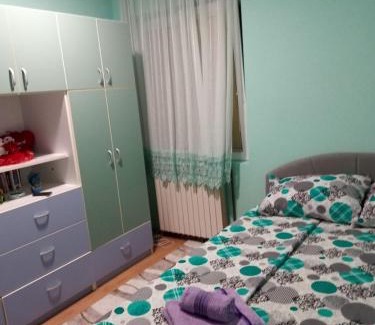Bajina Basta Apartamento | Apartman Dunja