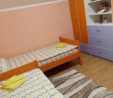 Bajina Basta Apartamento | Apartman Dunja