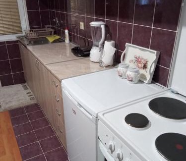 Bajina Basta Apartamento | Apartman Dunja
