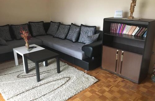 Mokra Gora Apartamento | Apartman Filipovic