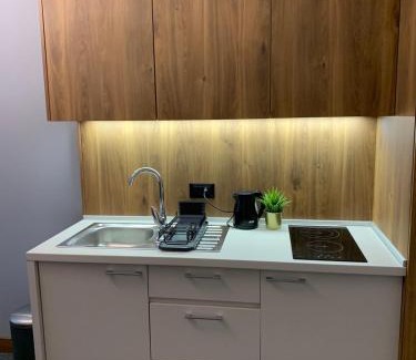 Kopaonik Apartamento | Apartman Glečer Vila Bela Reka