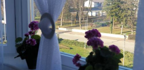 Sanski-Most Apartamento | Apartman Hana