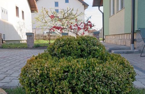 Sjenica Apartamento | Apartman HAX