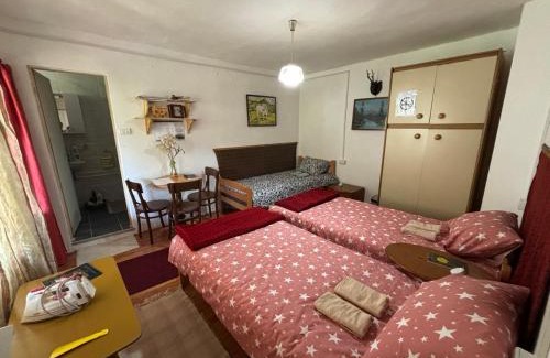Stara Planina Apartamento | Apartman i sobe Zdravac