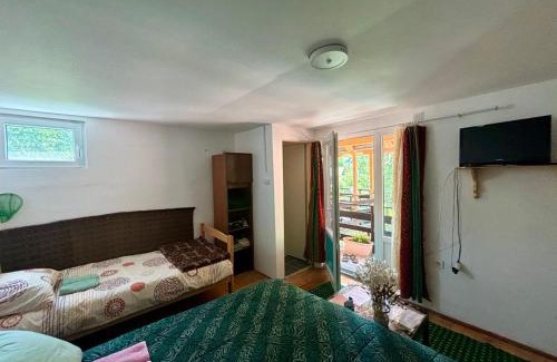 Stara Planina Apartamento | Apartman i sobe Zdravac