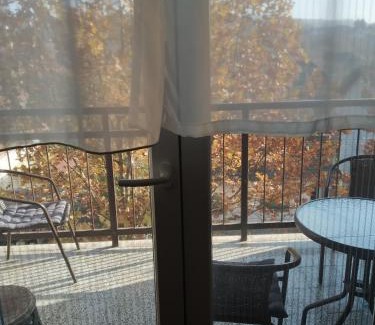 Vrdnik Apartamento | Apartman Ivan