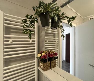 Mali Radic Apartamento | Apartman Jan