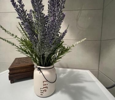 Mali Radic Apartamento | Apartman Jan