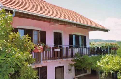 Donji Milanovac Apartamento | Apartman Jaredić - Private Accommodation, Privatni Smeštaj
