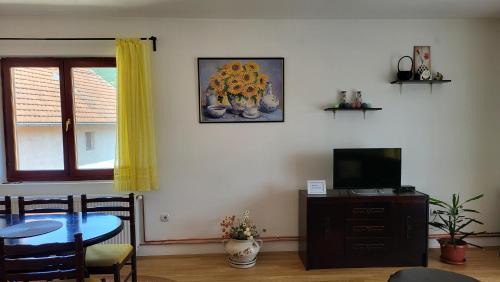 Bajina Basta Apartamento | Apartman Jovanović