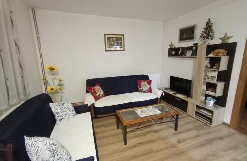 Visegrad Apartamento | Apartman Jovičić