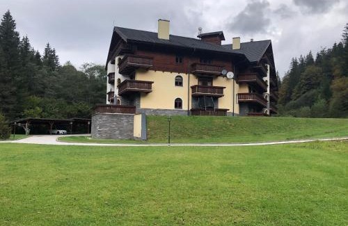 Tale Apartamento | Apartman KARIN, Tále, Chopok - Juh