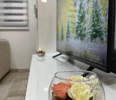 Kragujevac Apartamento | Apartman KG ELITE