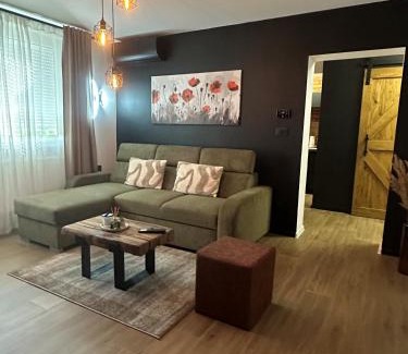 Slavonski Brod Apartamento | Apartman KOCKICA Entry with PIN 0-24h , Free parking