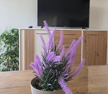 Teslic Apartamento | Apartman LAVANDA