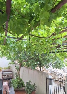 Senj Apartamento | Apartman Legac
