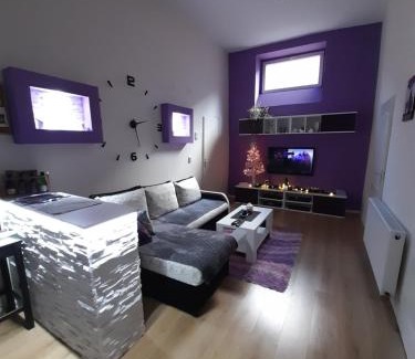 Vrsac Apartamento | Apartman Lela