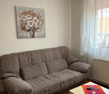 Pirot Apartamento | Apartman LENKA