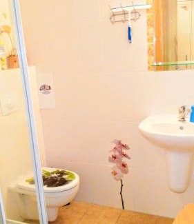 Lipno nad Vltavou Apartamento | Apartman LEO Nr. 8 Lipno nad Vltavou