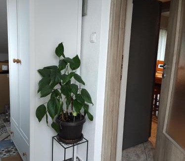 Bilice Apartamento | Apartman Lucia