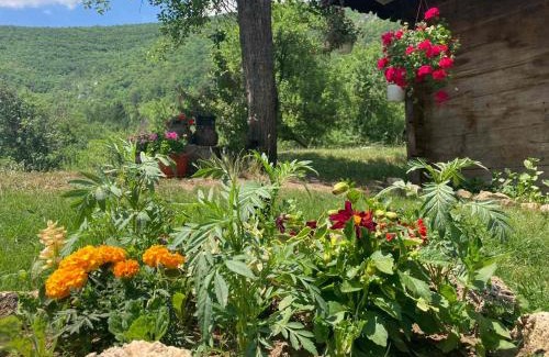 Zlatibor Apartamento | apartman Mara