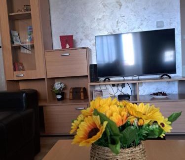 City Center Apartamento | Apartman Marger