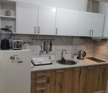 Zajecar Apartamento | Apartman Meridian