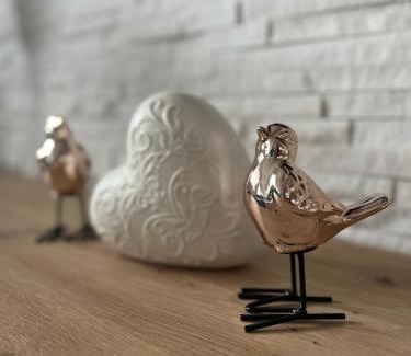 Kraljevo Apartamento | Apartman Milos, privatan parking