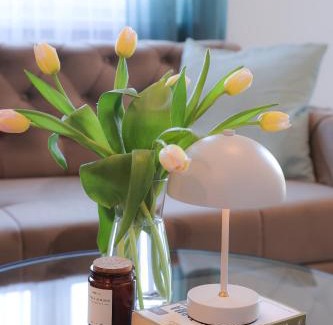 Banja Luka Apartamento | Apartman Mint&White Borik