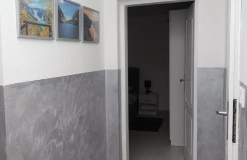Donji Milanovac Apartamento | Apartman Misic