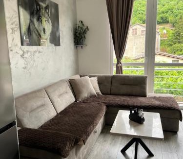 Zelenika Apartamento | Apartman Misovic 2