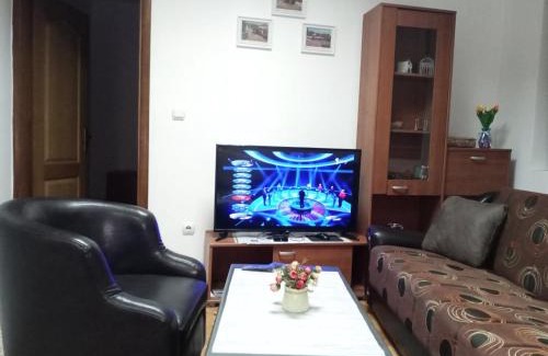 Vranje Apartamento | Apartman Mladenovic Center, free parking&wifi