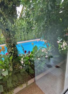 Ig Apartamento | Apartman MURKO P-2