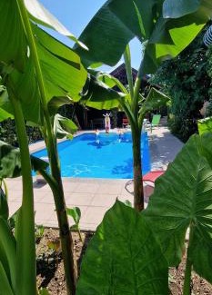Ig Apartamento | APARTMAN MURKO S-1