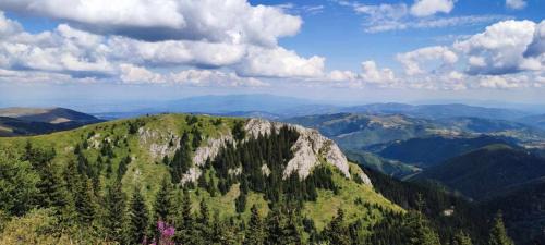 Lisina Apartamento | Apartman N Lux 100 Milmari resort