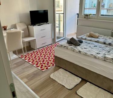 Banja Koviljaca Apartamento | Apartman Nana