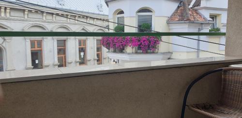 Vrsac Apartamento | Apartman Natasa 1