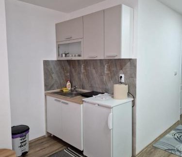 Uzice Apartamento | Apartman Nena Užice 2