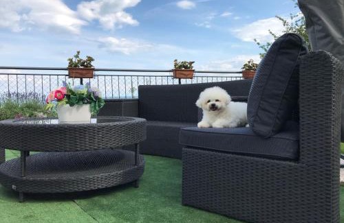 Mosenice Apartamento | Apartman Nicole