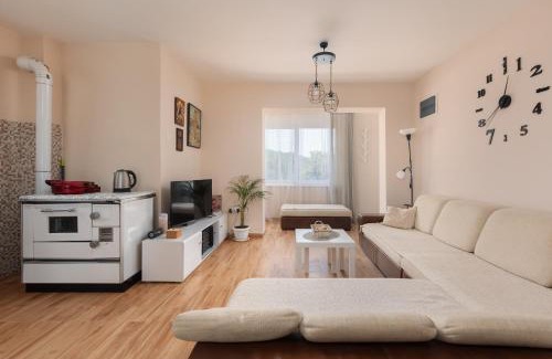Gorovici Apartamento | Apartman Oasis