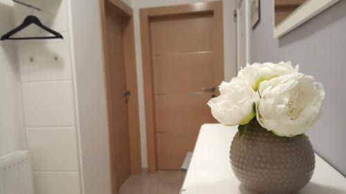 Osijek Apartamento | Apartman Pampas Osijek