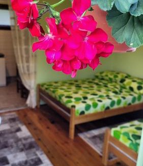 Mokra Gora Apartamento | Apartman Panorama
