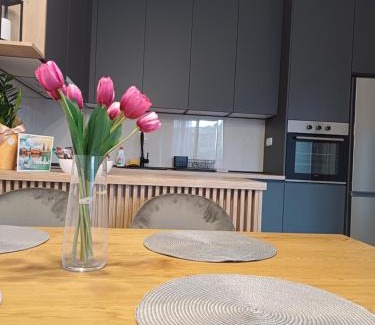 Trebinje Apartamento | Apartman Pavle