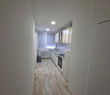 Nis Apartamento | Apartman Pešić
